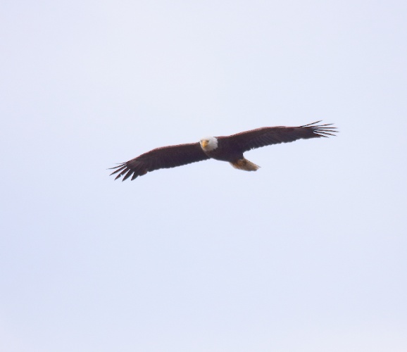 2019 05 08 HTP 90164e